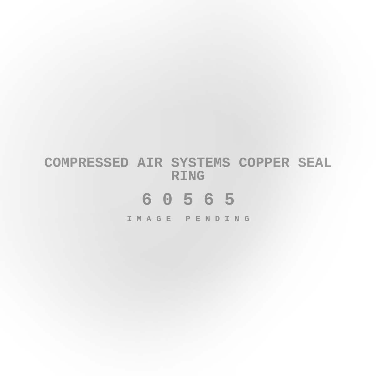 Compressed Air Systems Copper Seal Ring