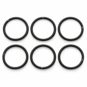 Six black O-rings for pump maintenance and repair.