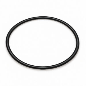 Black Viton O-Ring for industrial pump sealing.
