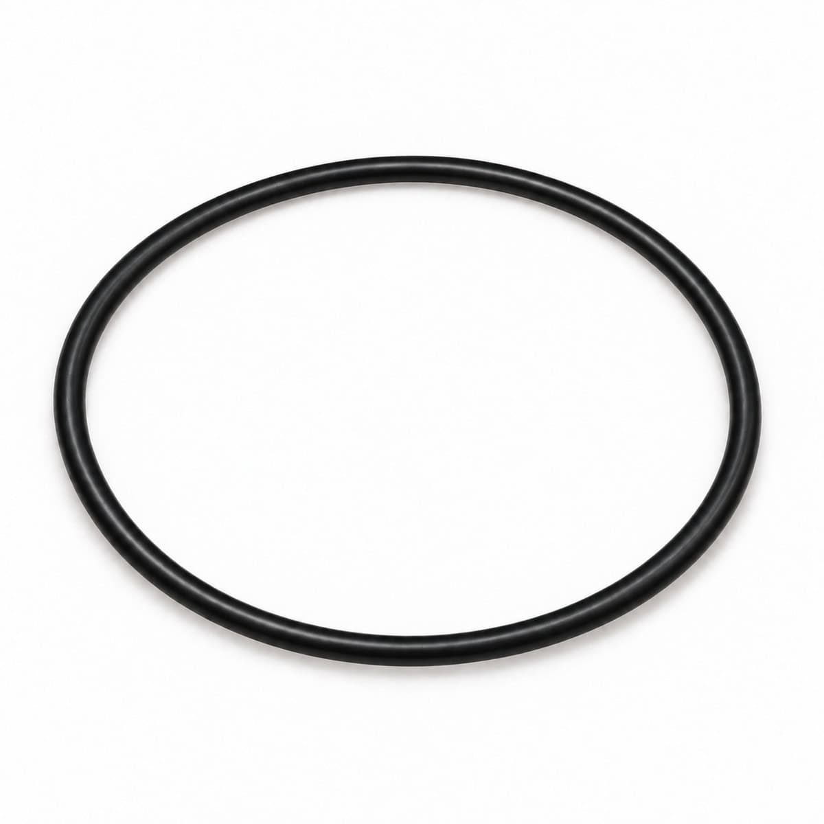 Black Viton O-Ring for industrial pump sealing.