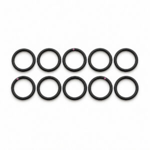 Set of ten black O-rings for spray equipment sealing and maintenance.