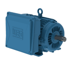 Electric Motors